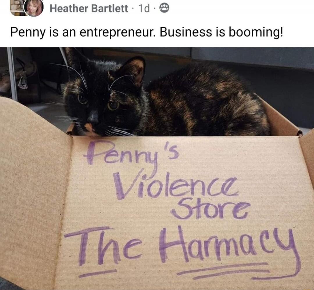 Penny's Violence Store The Hamacy
Penny is an entrepreneur. Business is booming!