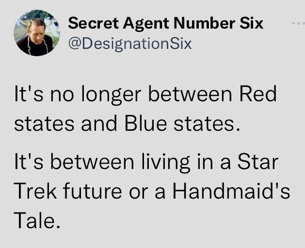 Secret Agent Number Six L DesignationSix Its no longer between Red states and Blue states Its between living in a Star Trek future or a Handmaids Tale
