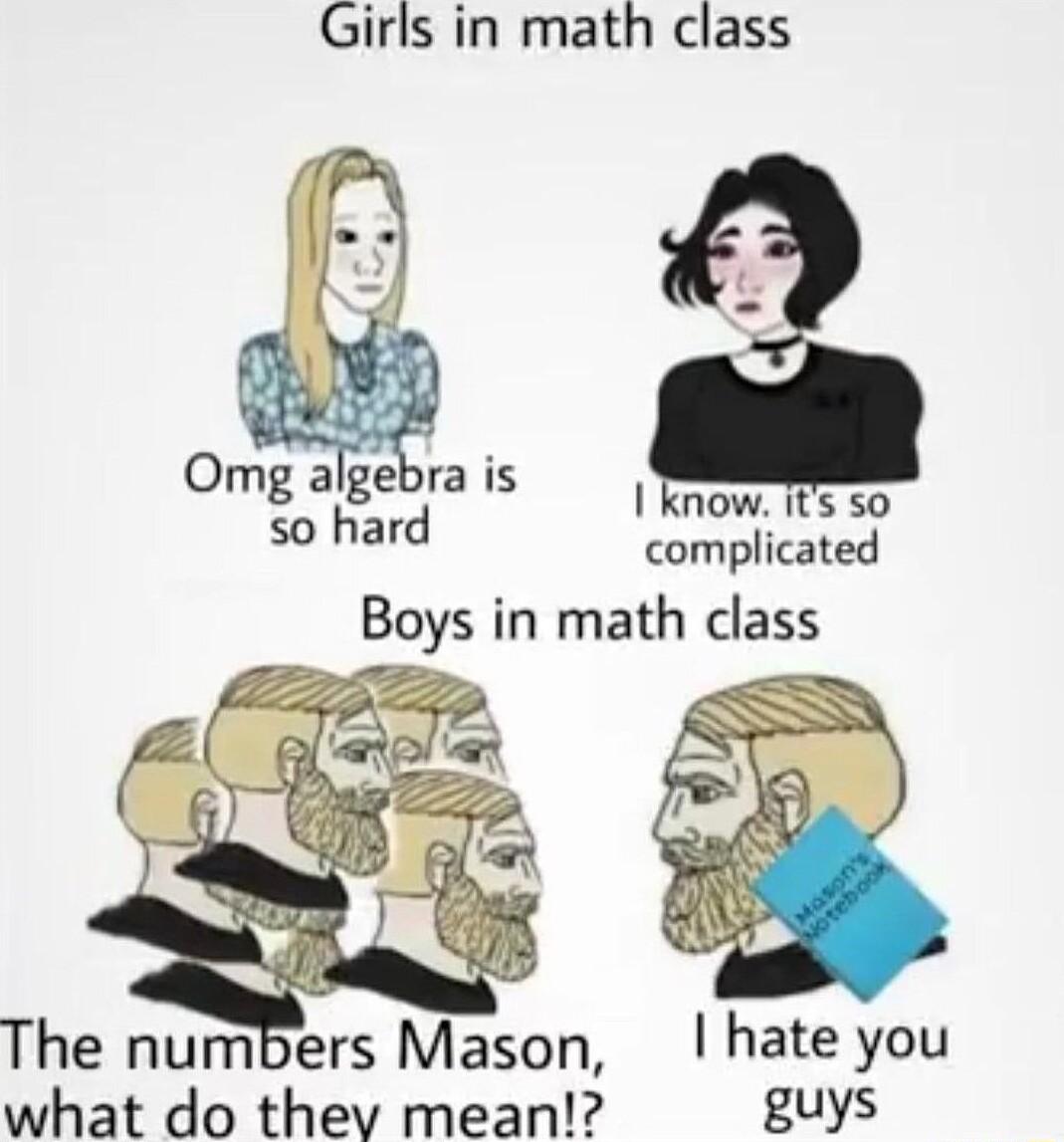 Girls in math class Omg algebra is so hard know its so complicated Boys in math class The numbers Mason hate you what do thev mean guys