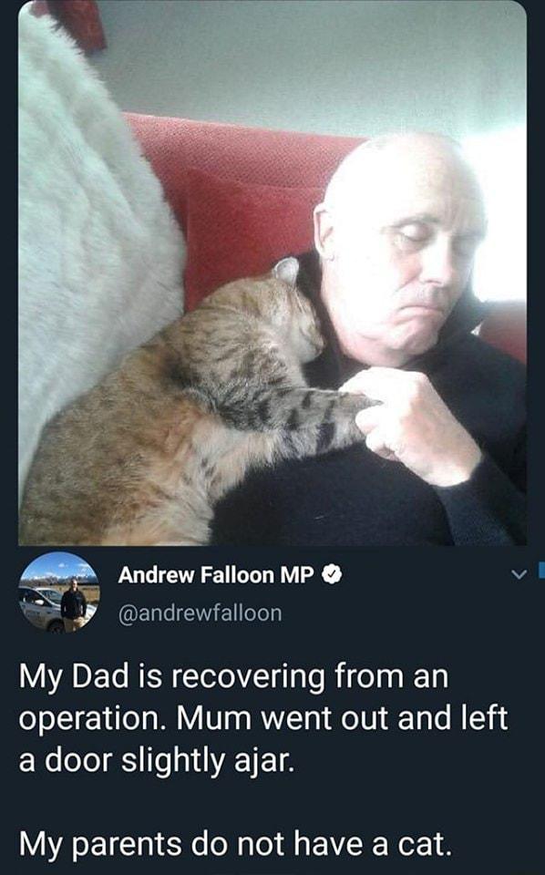 Ar Andrew Falloon MP 7 ELLIETEelely My Dad is recovering from an operation Mum went out and left a door slightly ajar My parents do not have a cat v i