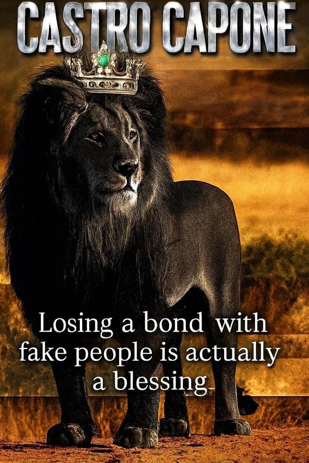 CASTRO CAPONE
Losing a bond with fake people is actually a blessing