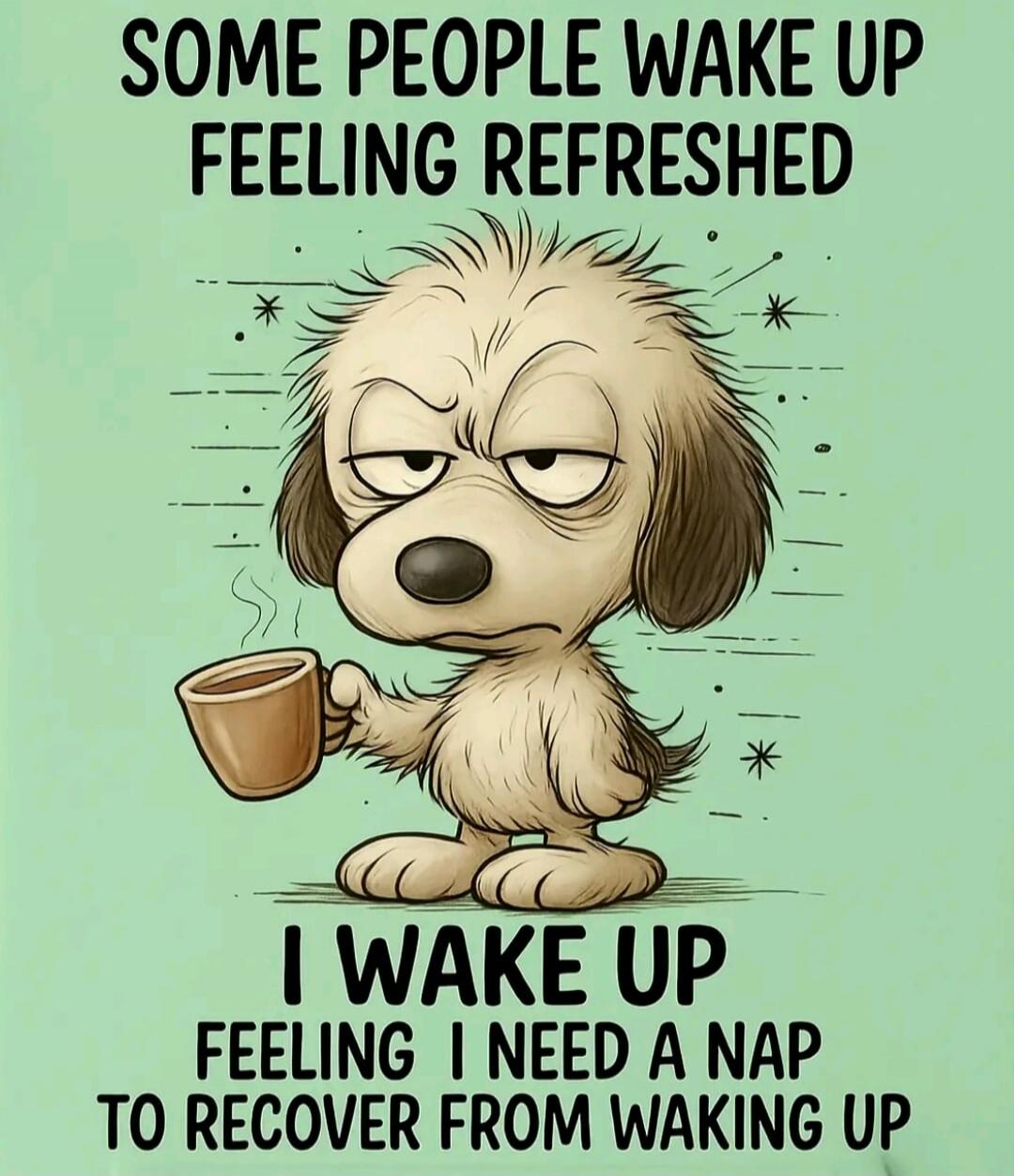SOME PEOPLE WAKE UP FEELING REFRESHED I WAKE UP FEELING I NEED A NAP TO RECOVER FROM WAKING UP