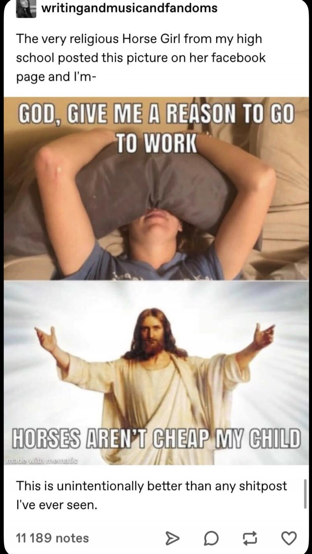 The very religious Horse Girl from my high school posted this picture on her facebook page and I'm- 
GOD, GIVE ME A REASON TO GO TO WORK
HORSES AREN'T CHEAP MY CHILD
This is unintentionally better than any shitpost I've ever seen.
11 189 notes