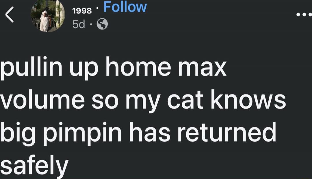 pullin up home max volume so my cat knows big pimpin has returned safely
