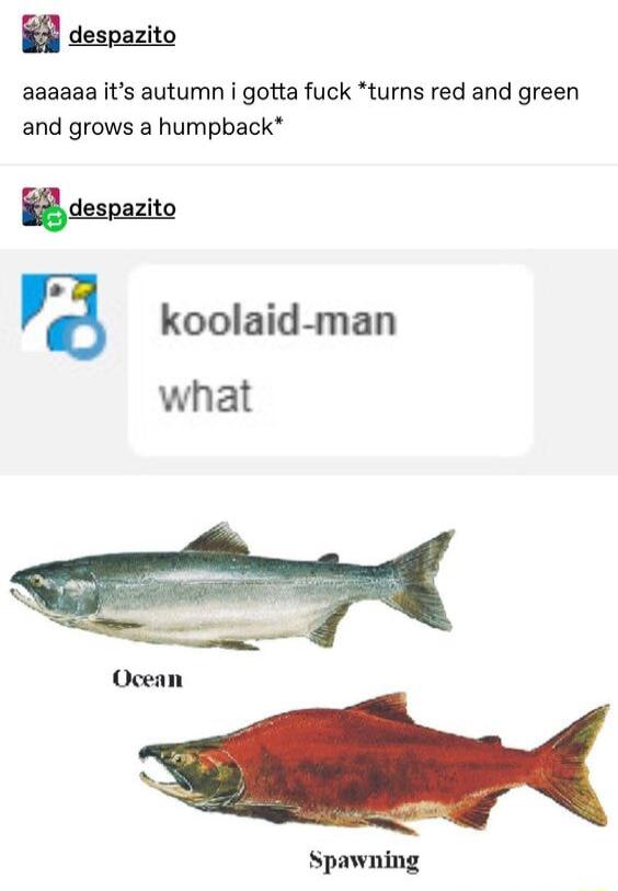 B8 despazito aaaaaa its autumn i gotta fuck turns red and green and grows a humpback Spawning