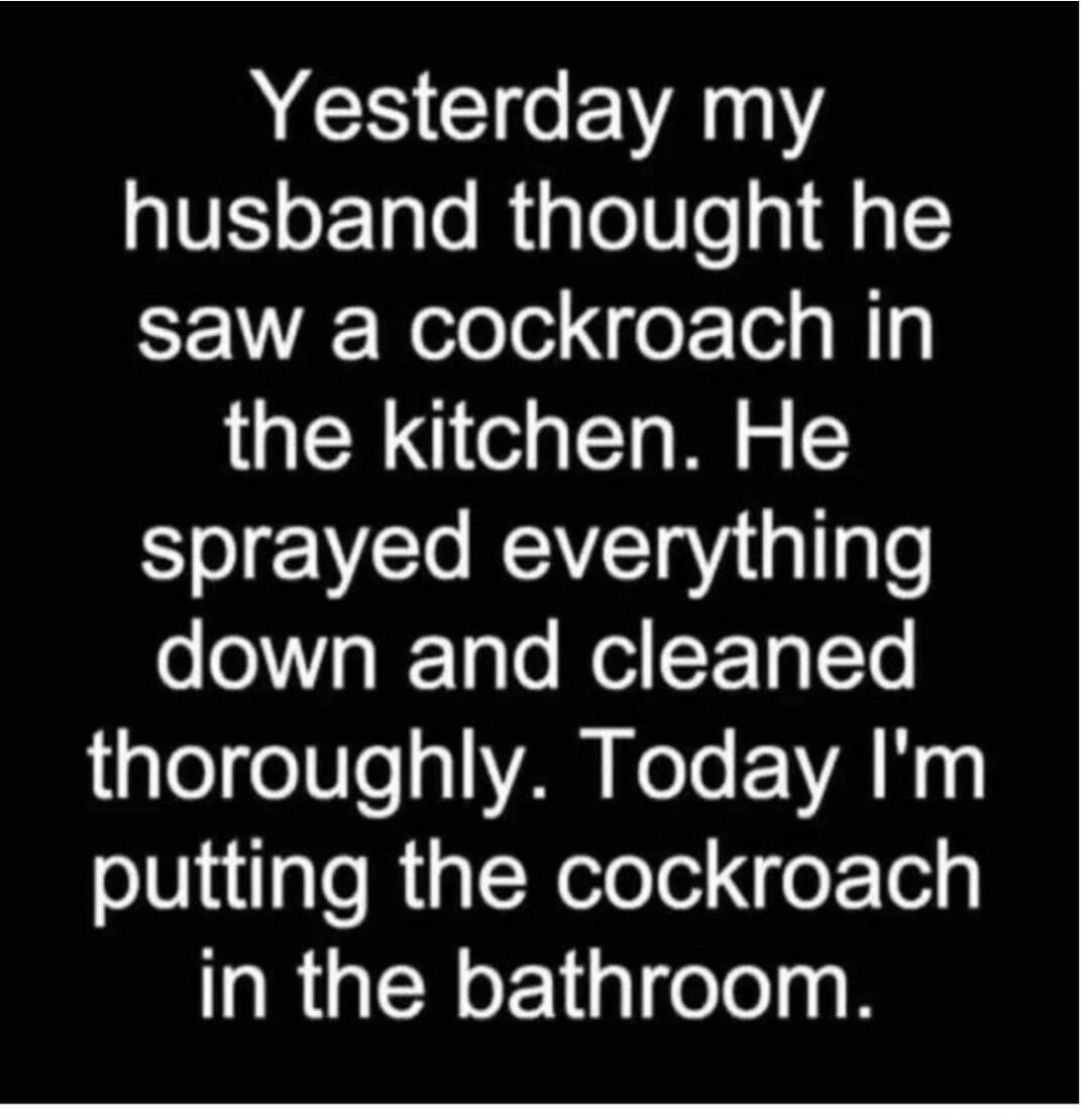 Yesterday my husband thought he saw a cockroach in the kitchen. He sprayed everything down and cleaned thoroughly. Today I'm putting the cockroach in the bathroom.