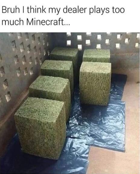 Bruh think my dealer plays too much Minecraft