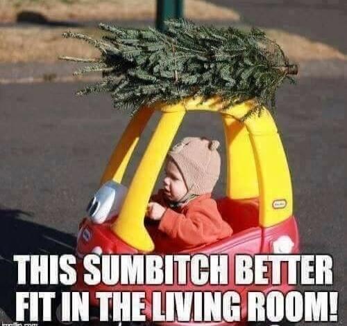 THIS SUMBITCH BETTER FIT IN THE LIVING ROOM!
