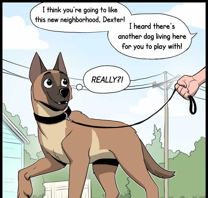 T think youre gaing o ke this new neighborhood Dexten heard theres anothen dog living here For you fo play with