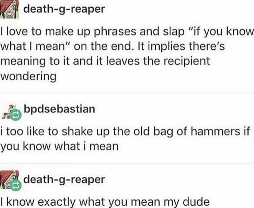death g reaper love to make up phrases and slap if you know what mean on the end It implies theres meaning to it and it leaves the recipient wondering b bpdsebastian i too like to shake up the old bag of hammers if you know what i mean death g reaper know exactly what you mean my dude