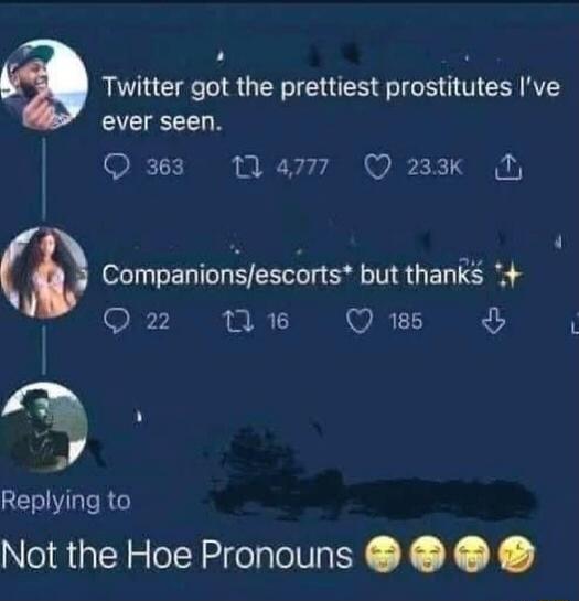 Twitter got the prettiest prostitutes I've ever seen. Companions/escorts* but thanks ✨ Not the Hoe Pronouns 🤯🤯😭😂