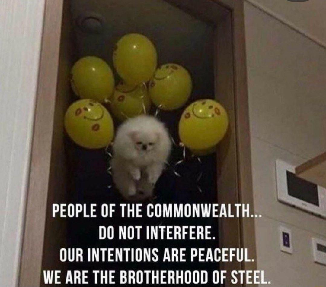 PEOPLE OF THE COMMONWEALTH DO NOT INTERFERE OUR INTENTIONS ARE PEACEFUL E ARE THE BROTHERHOOD OF STE