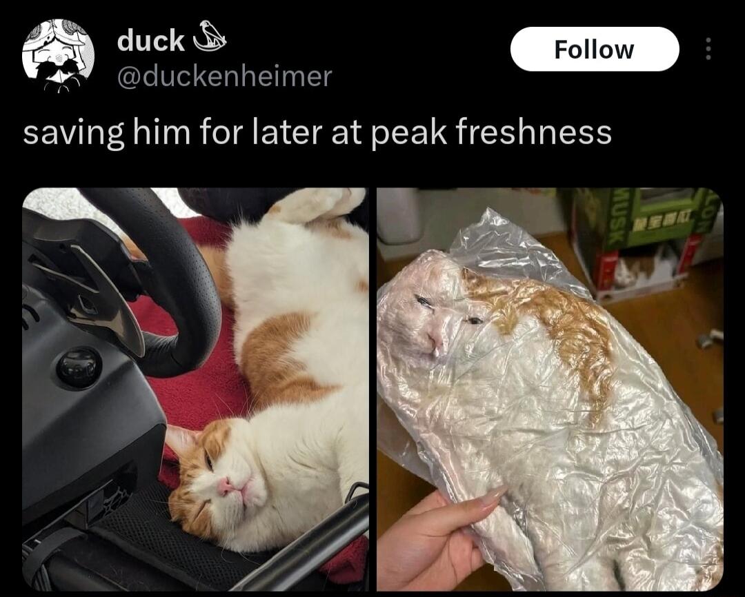 s l T D saving him for later at peak freshness