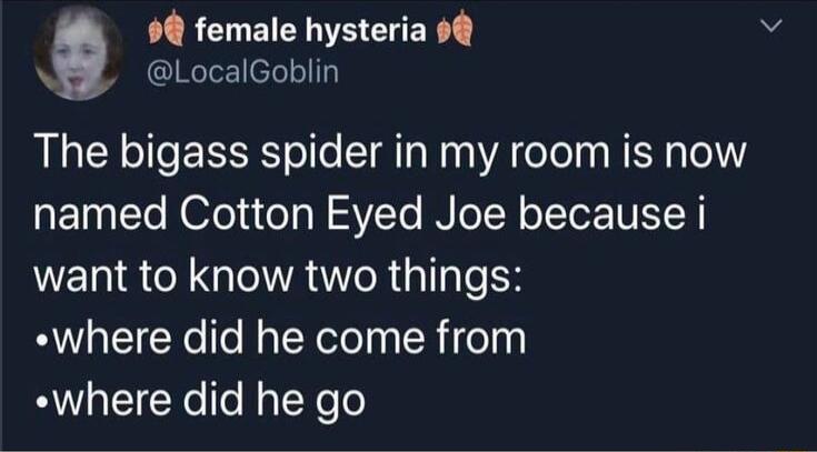 94 female hysteria 9 W LocalGoblin The bigass spider in my room is now ETnETo ool el N SYTe INoT N o ITor WE Y want to know two things where did he come from B EICRe o Ry TYeTo