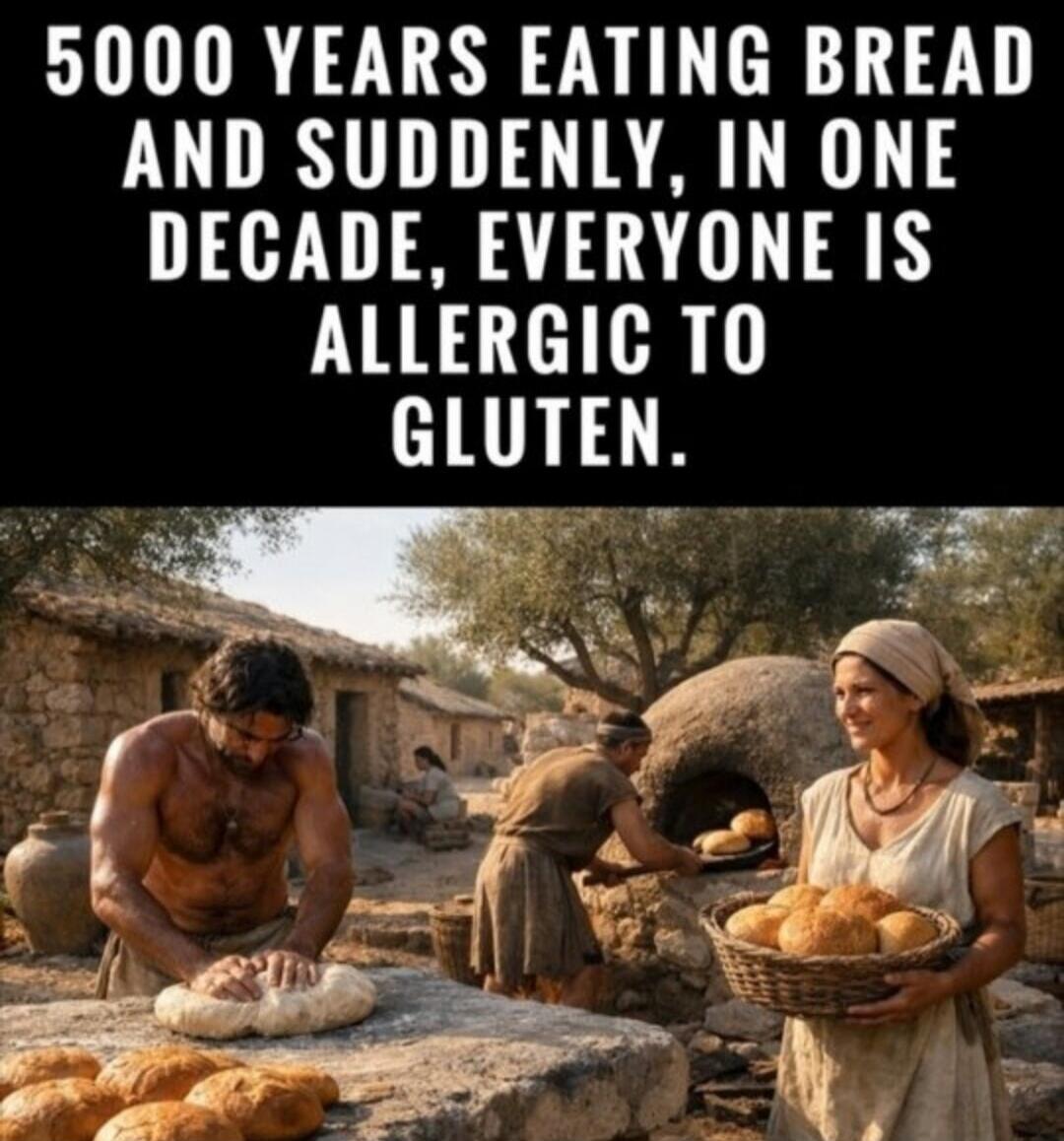 5000 YEARS EATING BREAD AND SUDDENLY, IN ONE DECADE, EVERYONE IS ALLERGIC TO GLUTEN.
