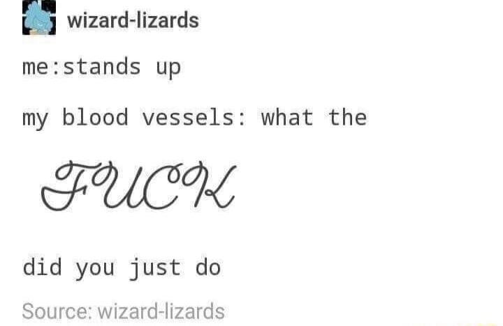 wizard lizards mestands up my blood vessels what the FUCK did you just do Source wizard lizards