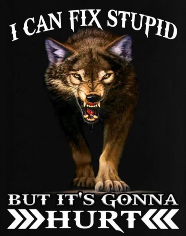 I CAN FIX STUPID BUT IT'S GONNA HURT