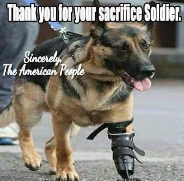 Thank you for your sacrifice Soldier. Sincerely, The American People