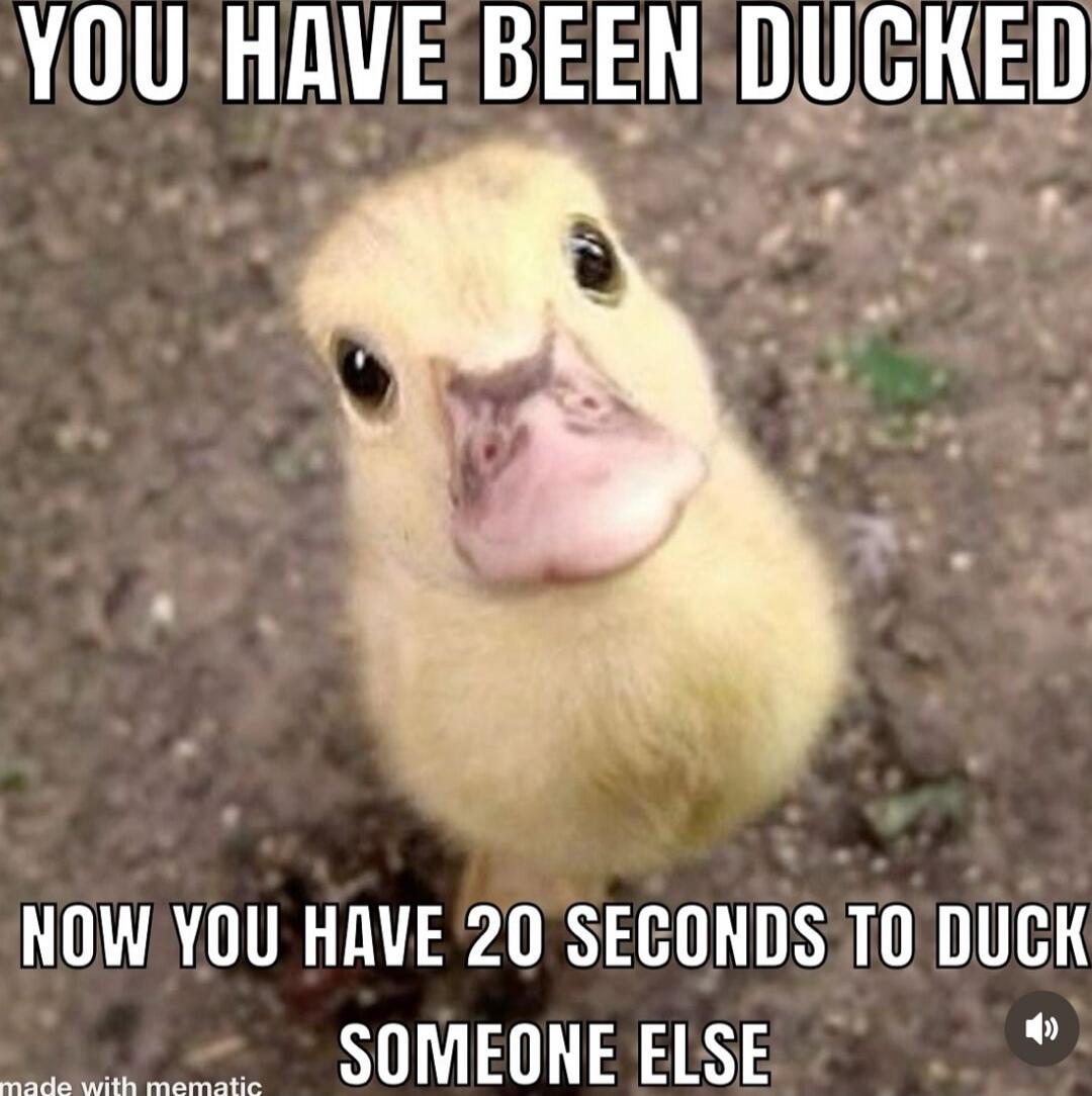 YOU HAVE BEEN DUCKED
NOW YOU HAVE 20 SECONDS TO DUCK SOMEONE ELSE