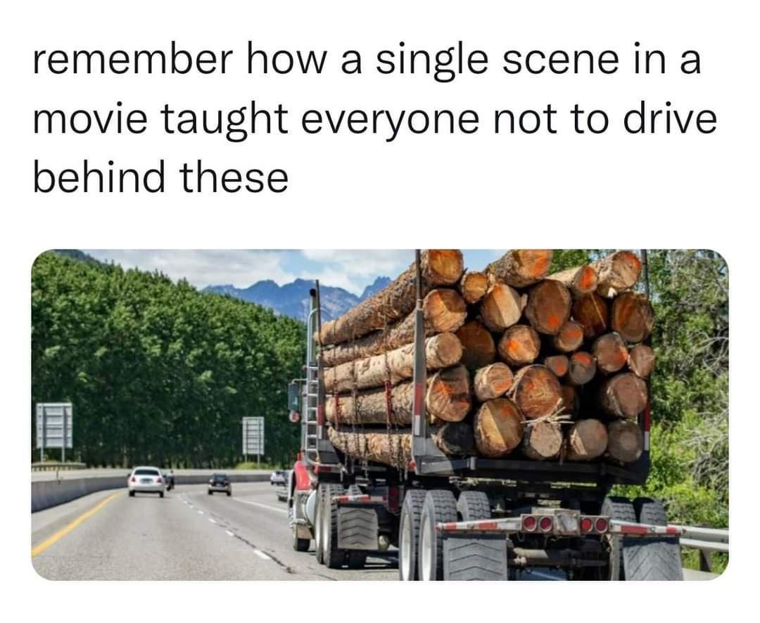 remember how a single scene in a movie taught everyone not to drive behind these