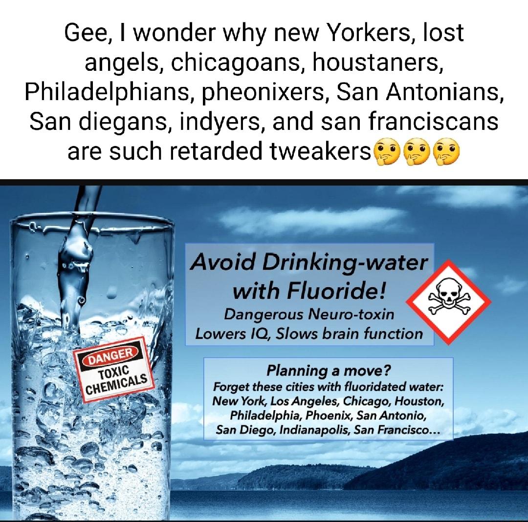 Gee wonder why new Yorkers lost angels chicagoans houstaners Philadelphians pheonixers San Antonians San diegans indyers and san franciscans are such retarded tweakerss 99 5 with Fluoride Dangerous Neuro toxin Lowers IQ Slows brain function Planning a move Forget these cities with fluoridated water New York Los Angeles Chicago Houston Philadelphia Phoenix San Antonio San Diego Indianapolis San Fra