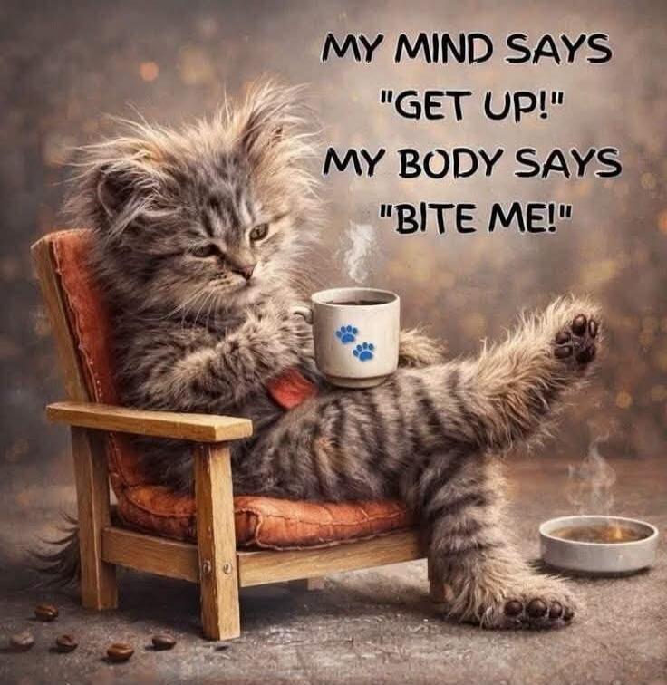 MY MIND SAYS 