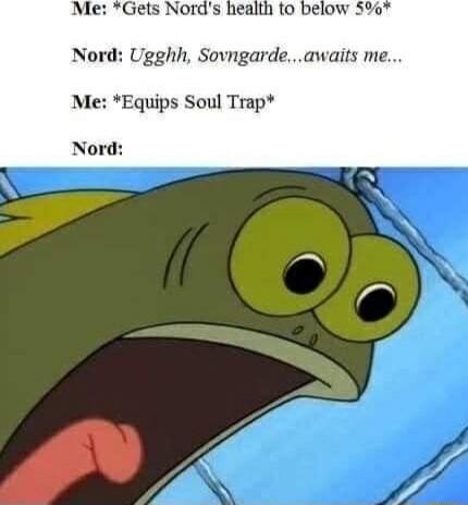 Nord Ugghh Sovngardeawaits me Me Equips Soul Trap Nord