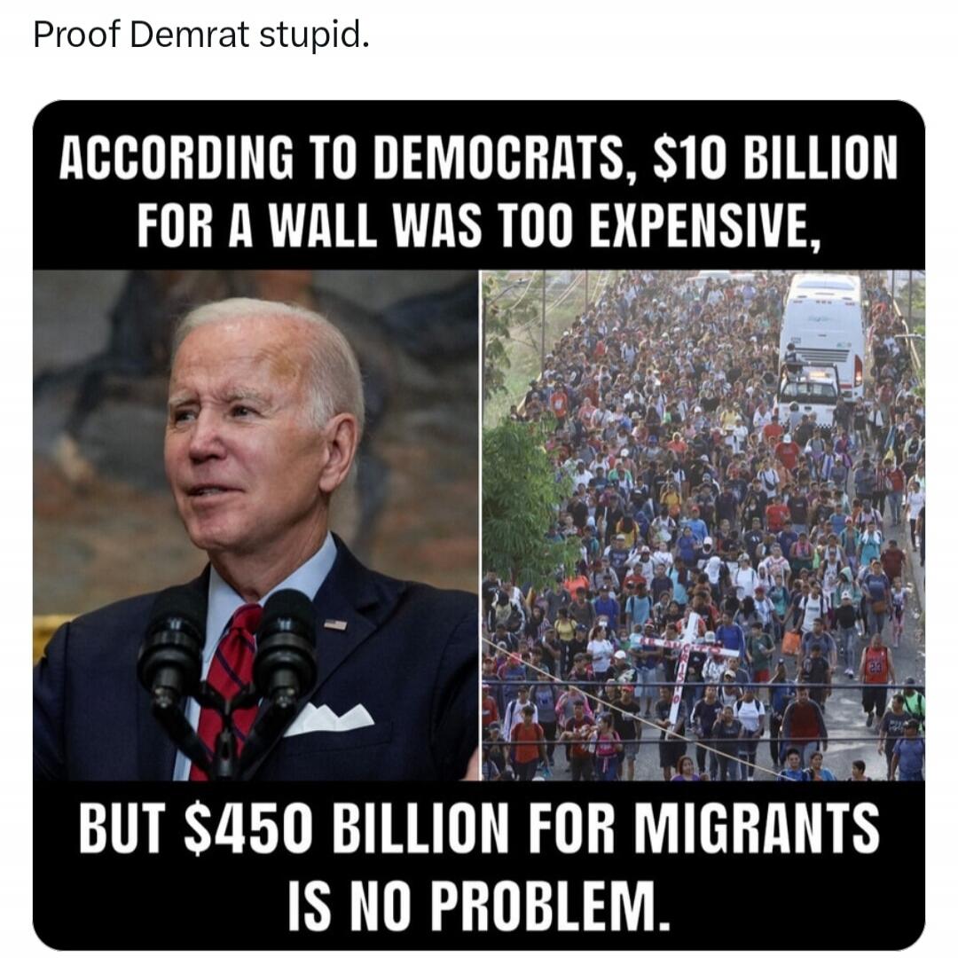 Proof Demrat stupid. According to Democrats, $10 billion for a wall was too expensive, but $450 billion for migrants is no problem.