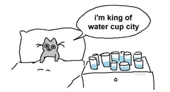 water cup city a rd