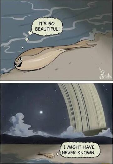 It's so beautiful! I might have never known...