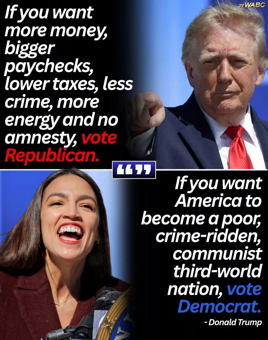 If you want more money, bigger paychecks, lower taxes, less crime, more energy and no amnesty, vote Republican. If you want America to become a poor, crime-ridden, communist third-world nation, vote Democrat. - Donald Trump
