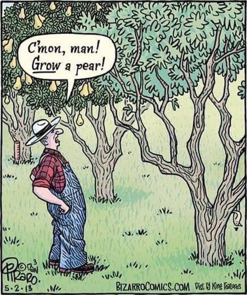 g hal 7 BIZARROCOMICSCOM i Kint s