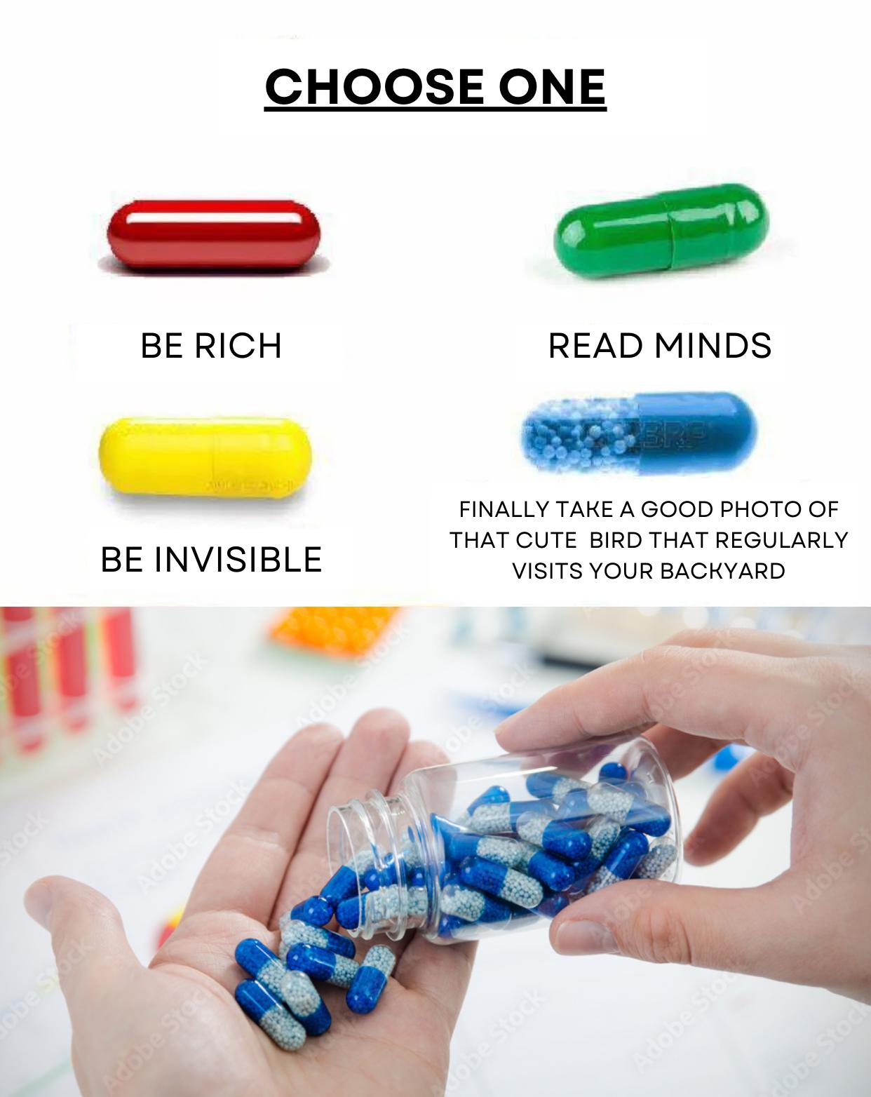 CHOOSE ONE N y BE RICH READ MINDS FINALLY TAKE A GOOD PHOTO OF THAT CUTE BIRD THAT REGULARLY BE INVISIBLE VISITS YOUR BACKYARD