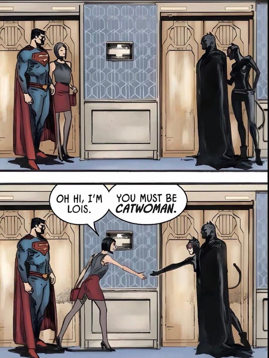 OH HI, I'M LOIS.
YOU MUST BE CATWOMAN.