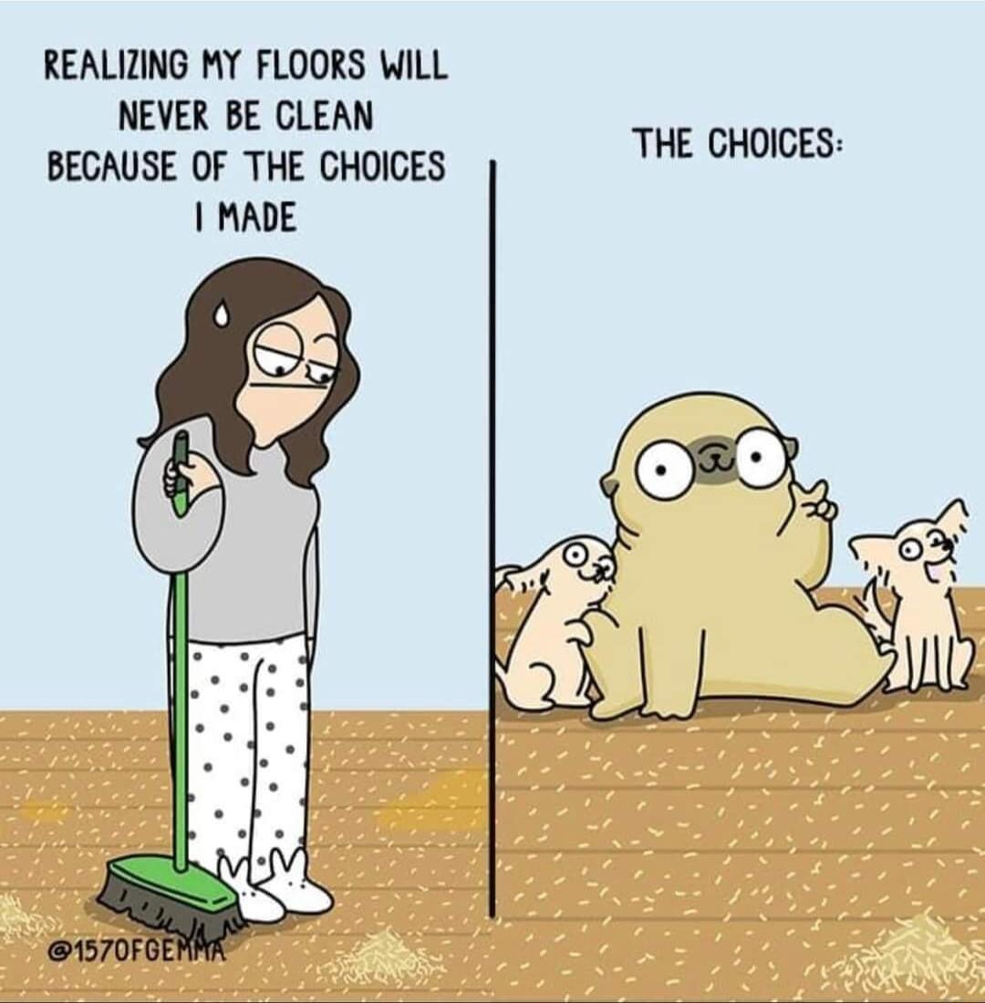 REALIZING MY FLOORS WILL NEVER BE CLEAN BECAUSE OF THE CHOICES MADE THE CHOICES