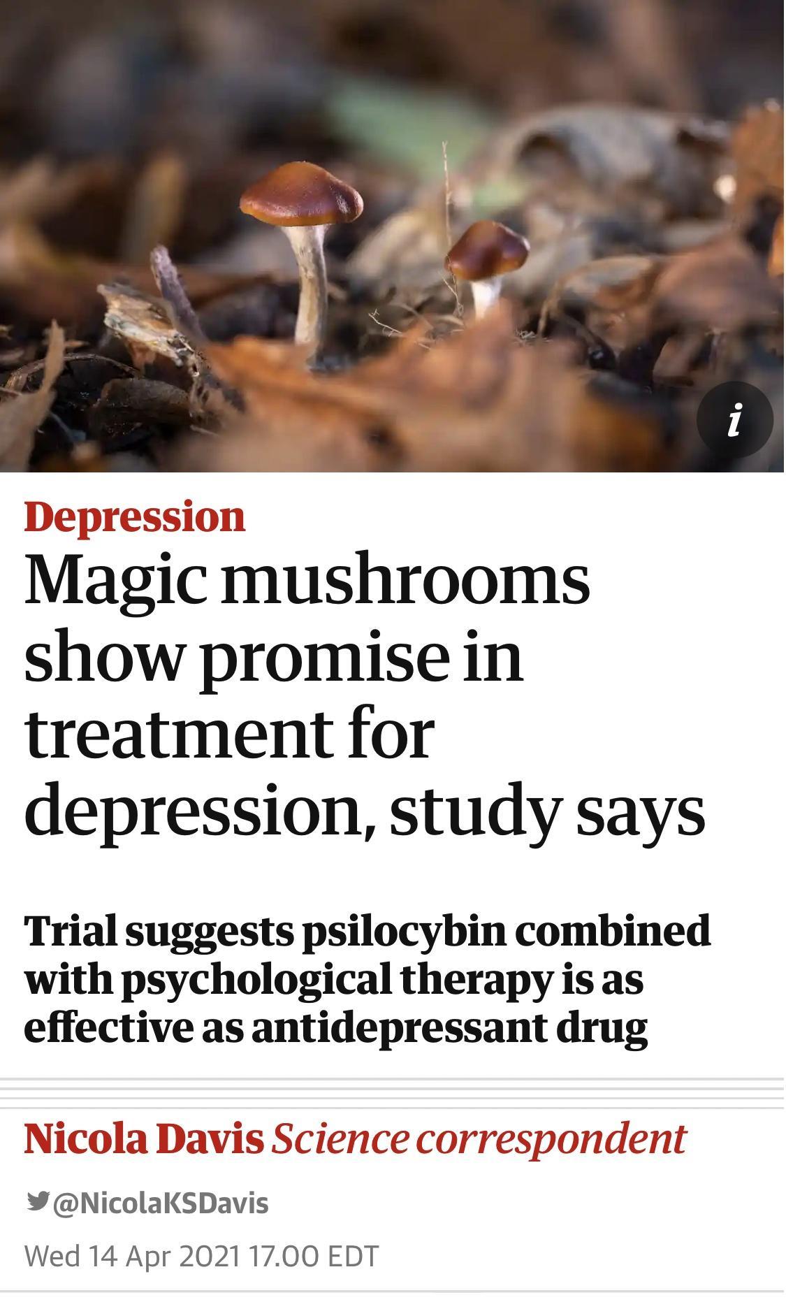 Depression Magic mushrooms show promise in treatment for depression study says Trial suggests psilocybin combined with psychological therapy is as effective as antidepressant drug Nicola Davis Science correspondent NicolaKSDavis Wed 14 Apr 2021 1700 EDT