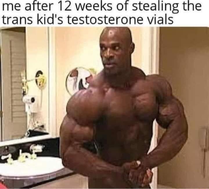 me after 12 weeks of stealing the trans kids testosterone vials o I