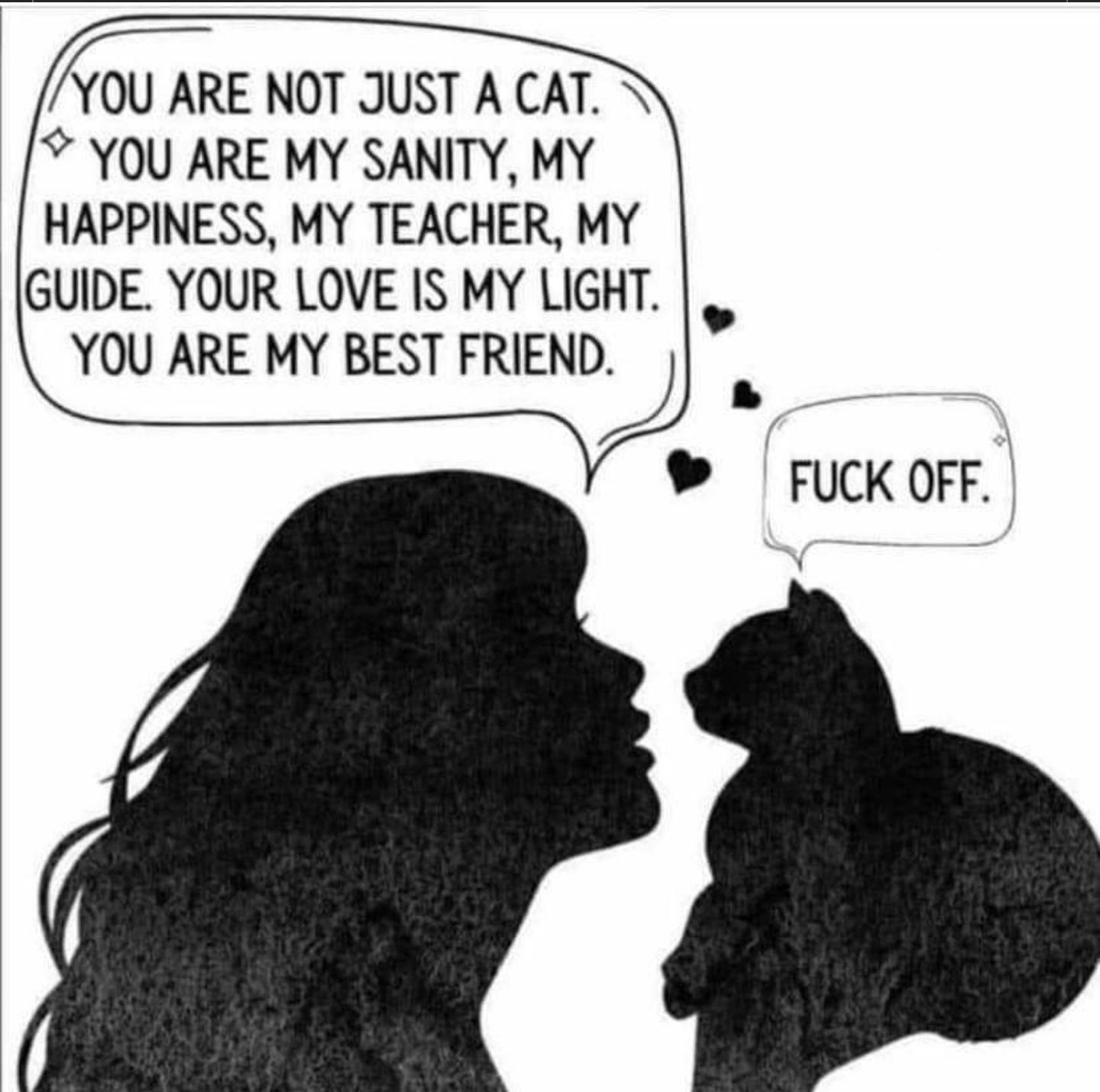 I YOU ARE NOT JUST A CAT YOU ARE MY SANITY MY HAPPINESS MY TEACHER MY GUIDE YOUR LOVE IS MY LIGHT YOU ARE MY BEST FRIEND FUCK OFF