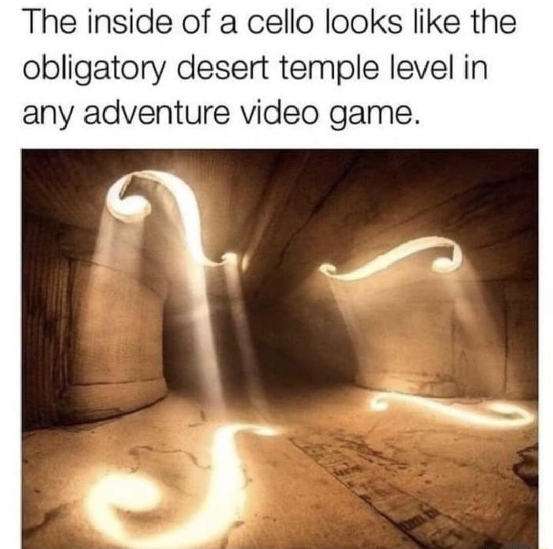 The inside of a cello looks like the obligatory desert temple level in any adventure video game