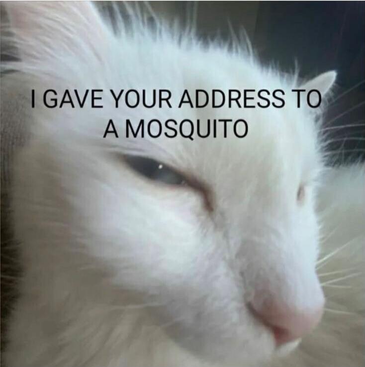 I GAVE YOUR ADDRESS TO A MOSQUITO
