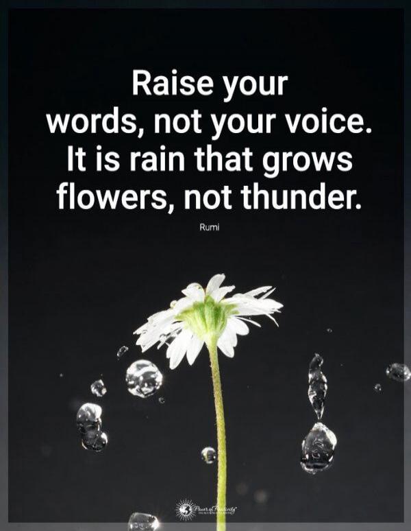 Raise your words, not your voice. It is rain that grows flowers, not thunder. Rumi