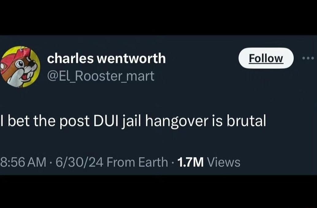 charles wentworth EL Rooster mart bet the post DUI jail hangover is brutal 856 AM 63024 From Earth 17M Views