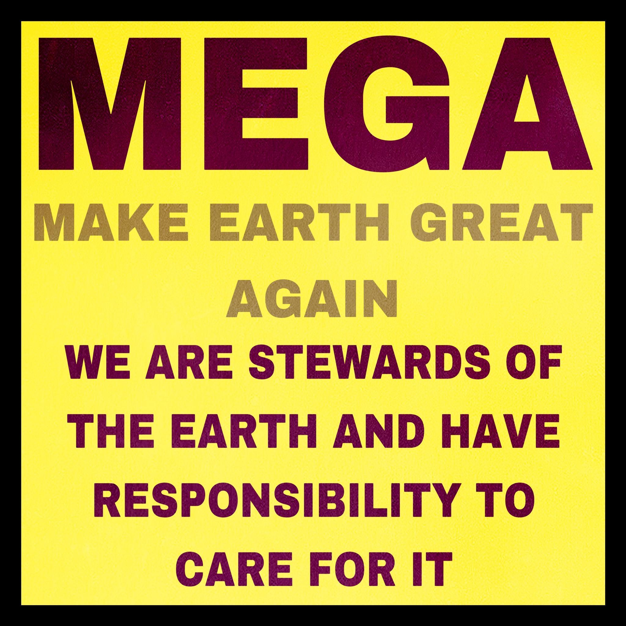 WE ARE STEWARDS OF THE EARTH AND HAVE RESPONSIE CARE FOR IT