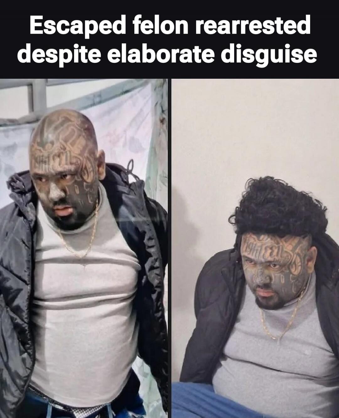 Escaped felon rearrested despite elaborate disguise