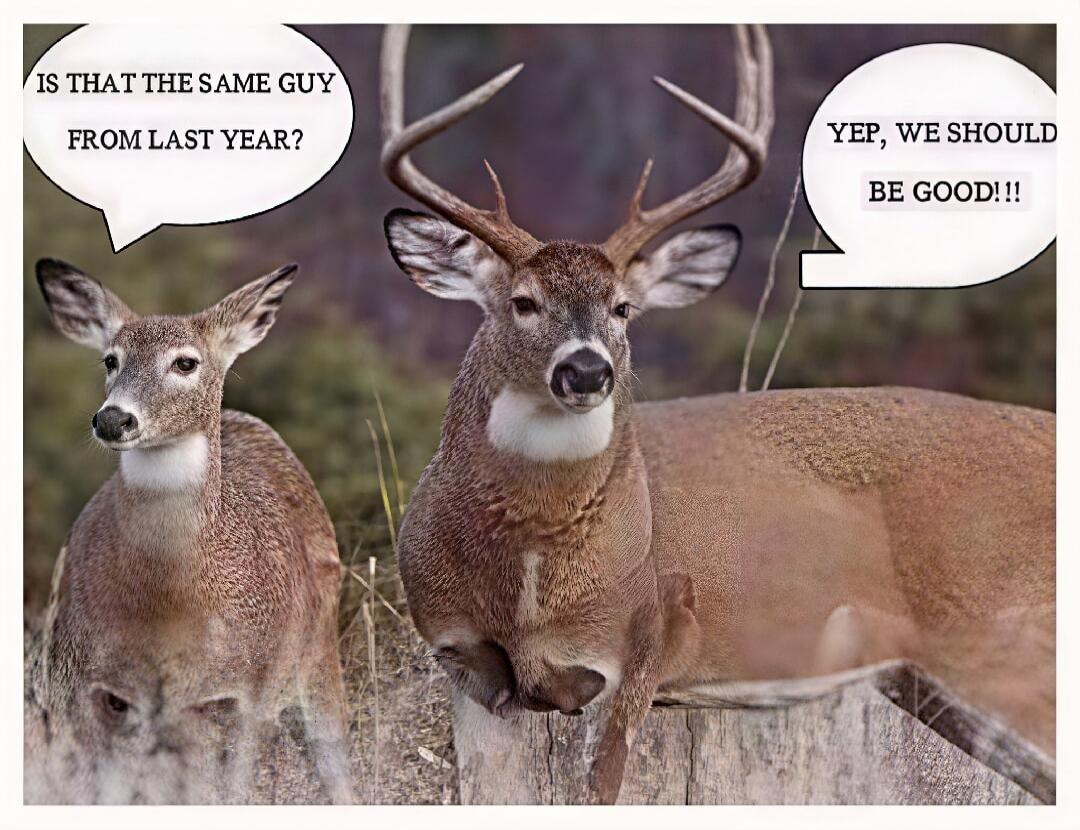 IS THAT THE SAME GUY FROM LAST YEAR? YEP, WE SHOULD BE GOOD!!!