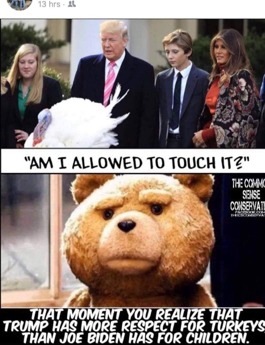 AM I ALLOWED TO TOUCH IT? THAT MOMENT YOU REALIZE THAT TRUMP HAS MORE RESPECT FOR TURKEYS THAN JOE BIDEN HAS FOR CHILDREN. THE COMMON SENSE CONSERVATIVE FACEBOOK.COM/THESCCONSERVATIVE