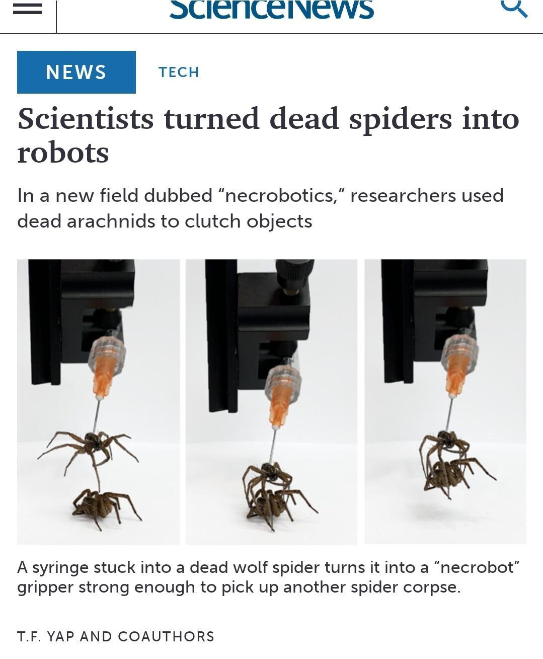 1 SUICTICTINGWS NEWS TECH Scientists turned dead spiders into robots In a new field dubbed necrobotic dead arachnids to clutch objects FEP A syringe stuck into a dead wolf spider turns it into a necrobot gripper strong enough to pick up another spider corpse researchers used TF YAP AND COAUTHORS