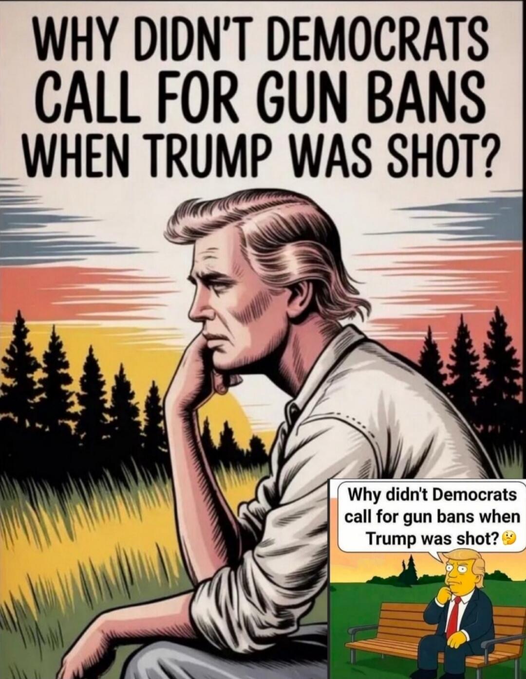 WHY DIDN'T DEMOCRATS CALL FOR GUN BANS WHEN TRUMP WAS SHOT? Why didn't Democrats call for gun bans when Trump was shot? 🤔