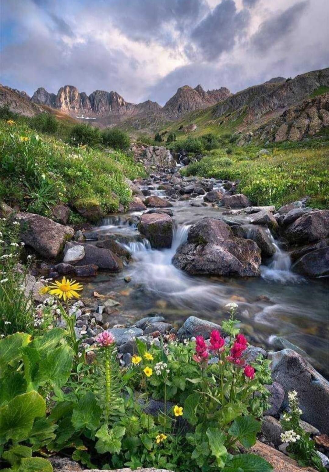 A rocky mountain stream flows through a meadow with bright wildflowers in the foreground, green grass, and rugged peaks in the background under a cloudy sky.
