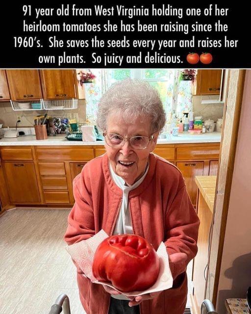 91 year old from West Virginia holding one of her heirloom tomatoes she has been raising since the 1960s She saves the seeds every year and raises her own plants So juicy and delicious